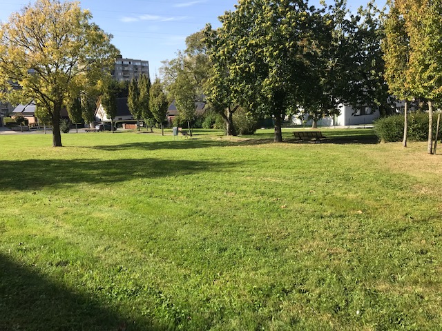 Img 2243
